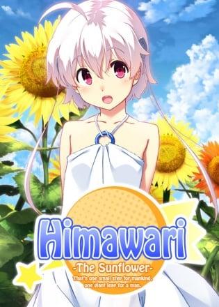 Himawari – The Sunflower –
